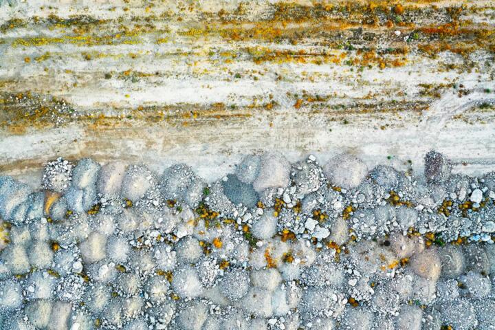 New Mold and Damp Rules: What Renters Should Know