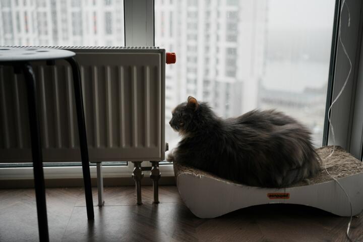 The Rising Cost of Heating a Home in Winter